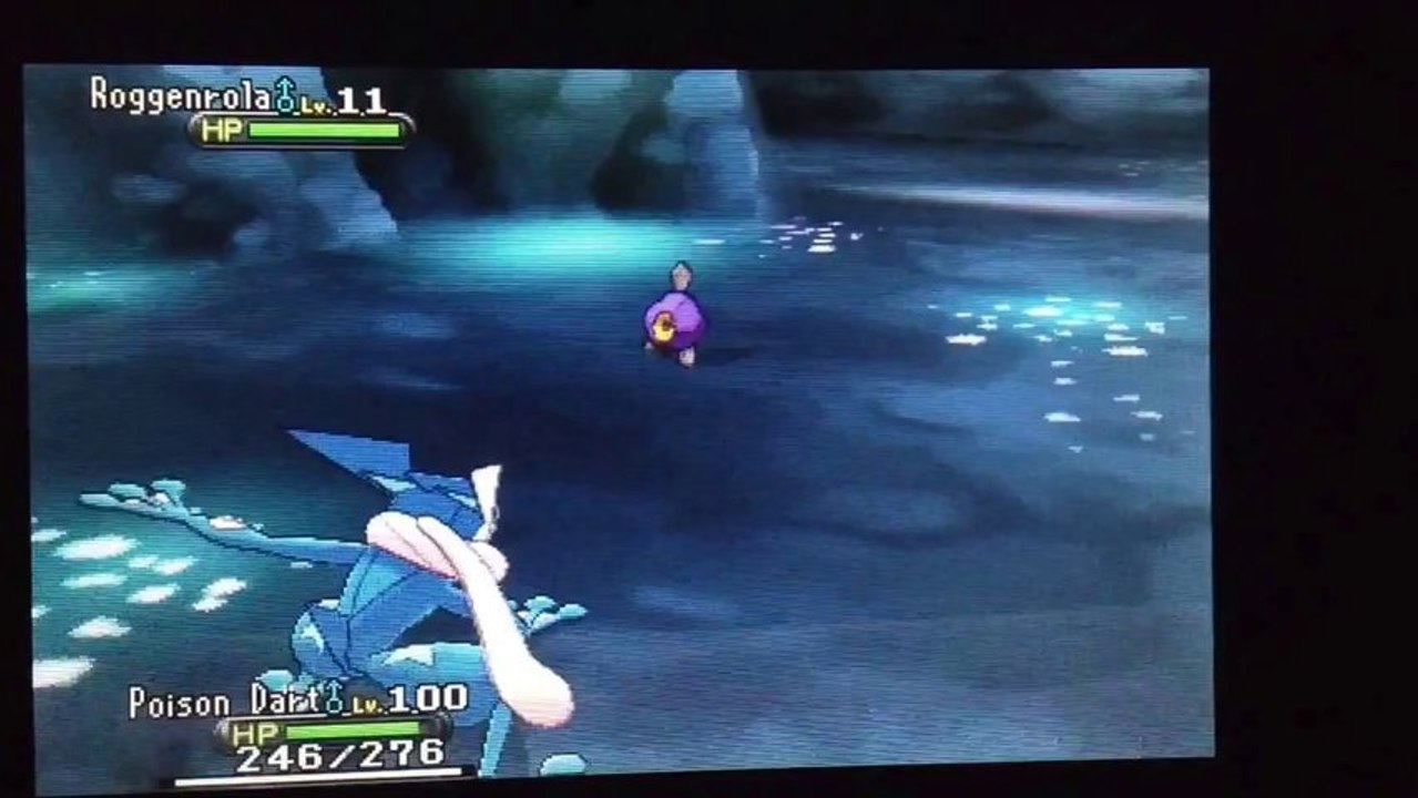 Pokemon Y: Shiny Roggenrola After 9 HE!