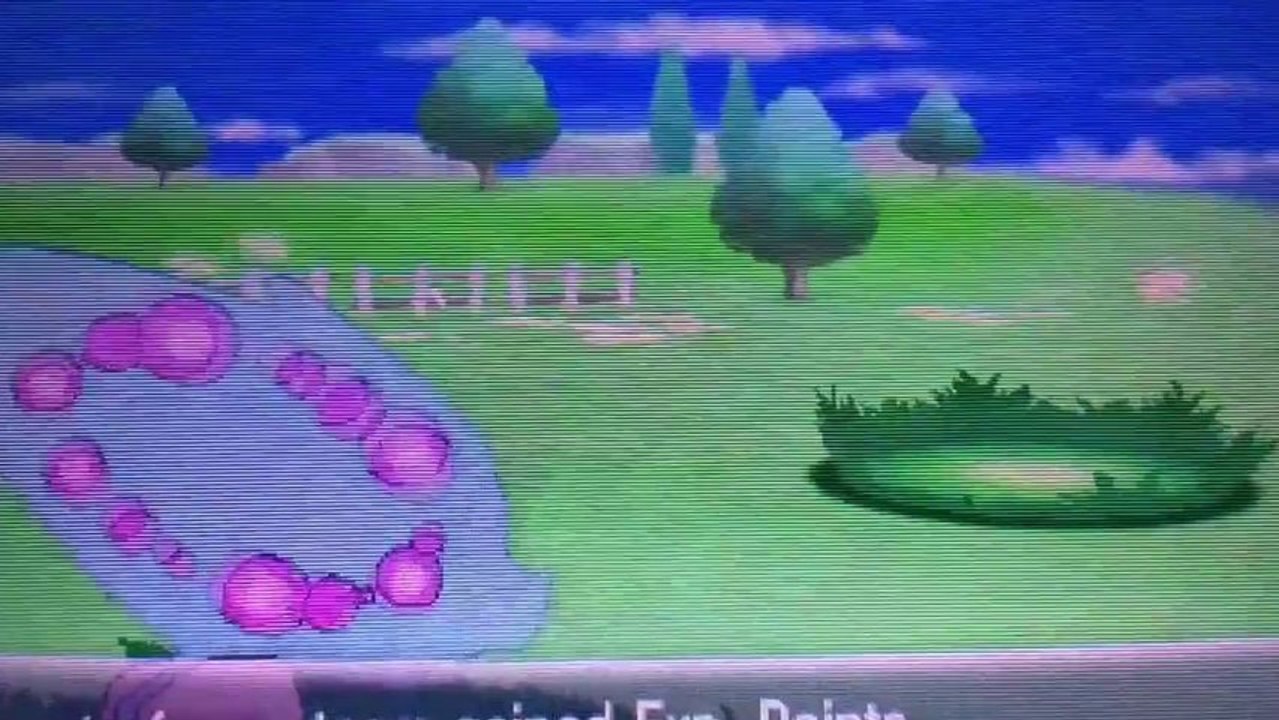 Pokemon Y: Shiny Pikachu!