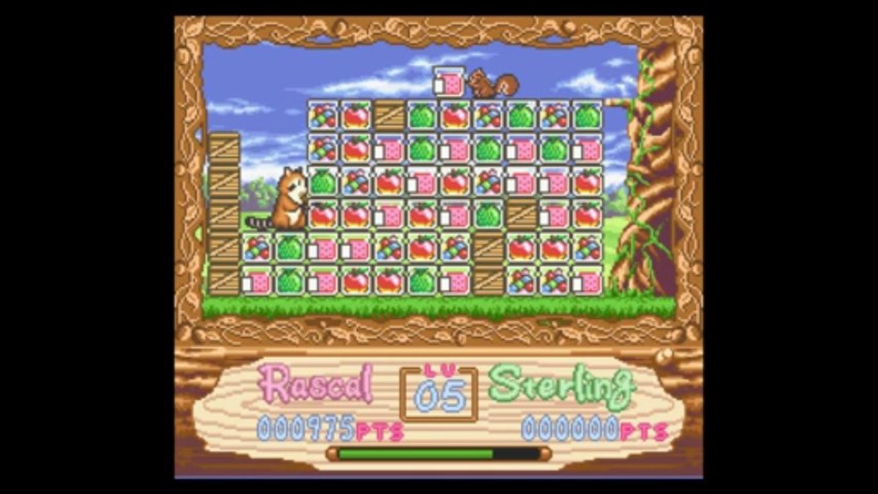 Araiguma Rascal - Le premier stage complet