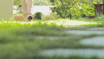 [MV] Piggy Dolls(피기돌스) _ Butterflies