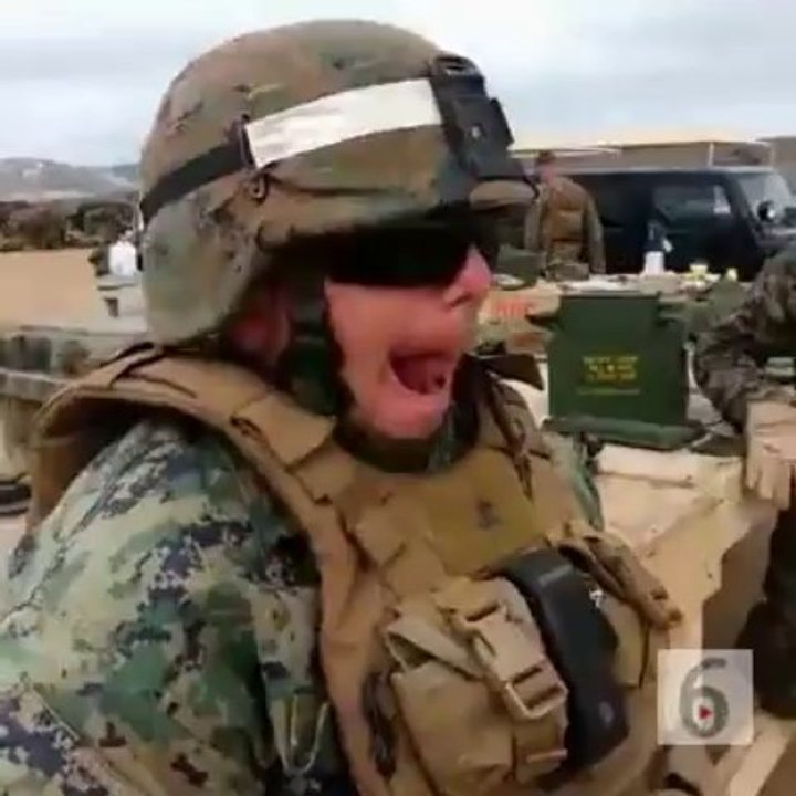 Military Turtle