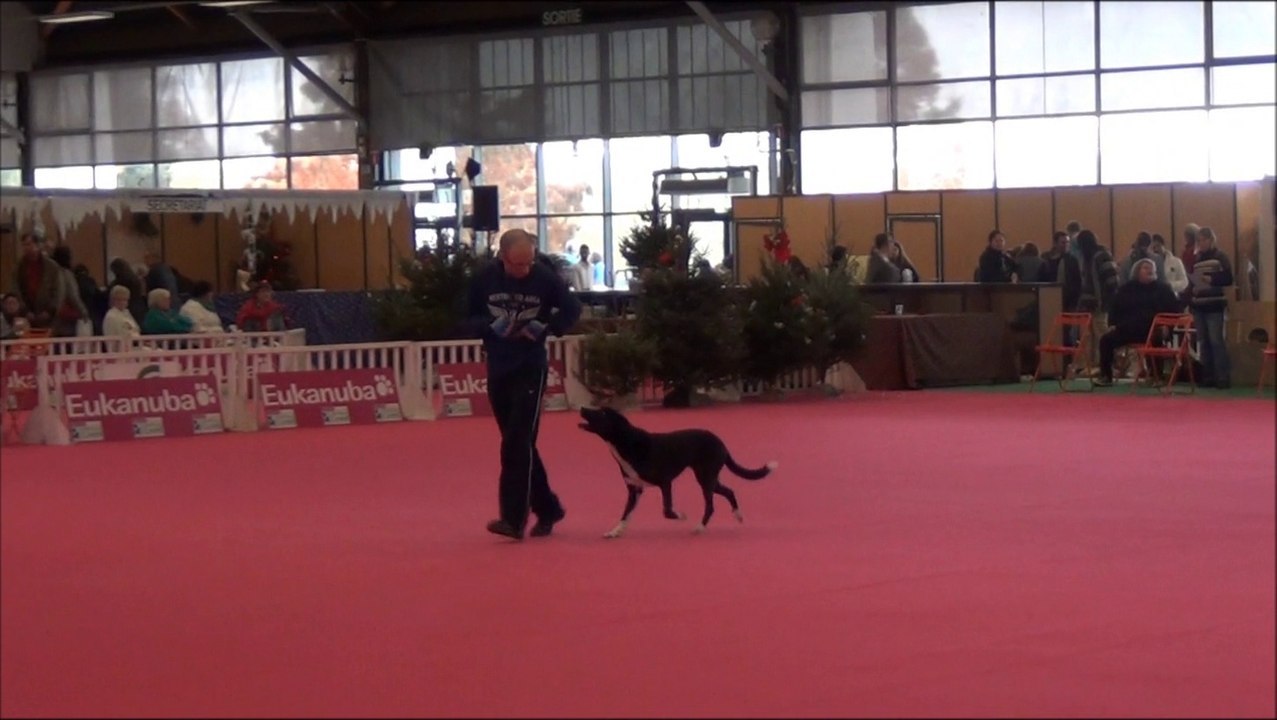 Obérythmée concours La Beaujoire 14 décembre 2013