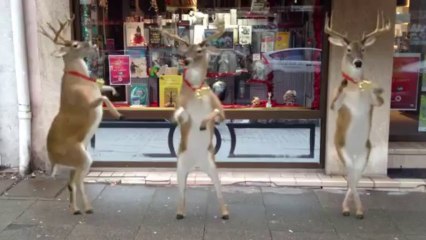 Dédicace à Lure (70) : un bien sympathique comité d'accueil !