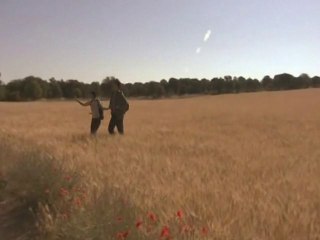 Fernando & Alicia: En donde los sueños no tengan final