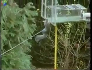 Mission Impossible  Facebook