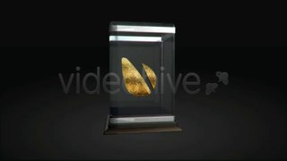 Golden Statues - After Effects Template