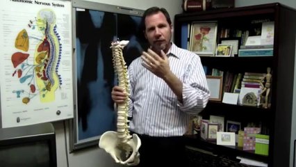 The best chiropractor in Long Beach
