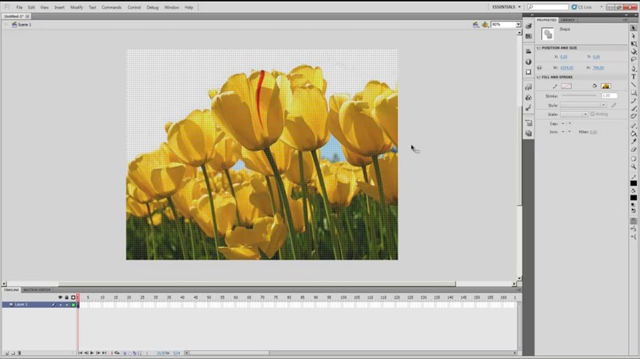 Flash Professional CS5.5_Урок4