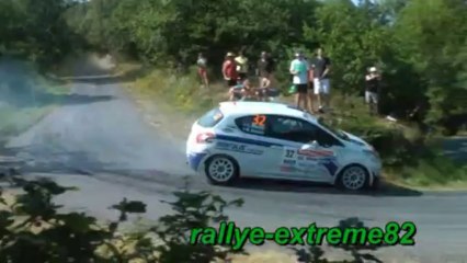 saisson 2013 martin charles devos romain 208 R2