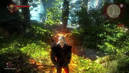 Прохождение игры 'Ведьмак 2', часть 11