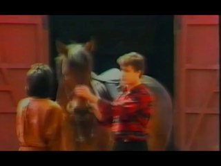 Ljubavna prica Nede Ukraden (1986)