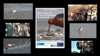 Rencontre Ornithologique Bretonne 2013
