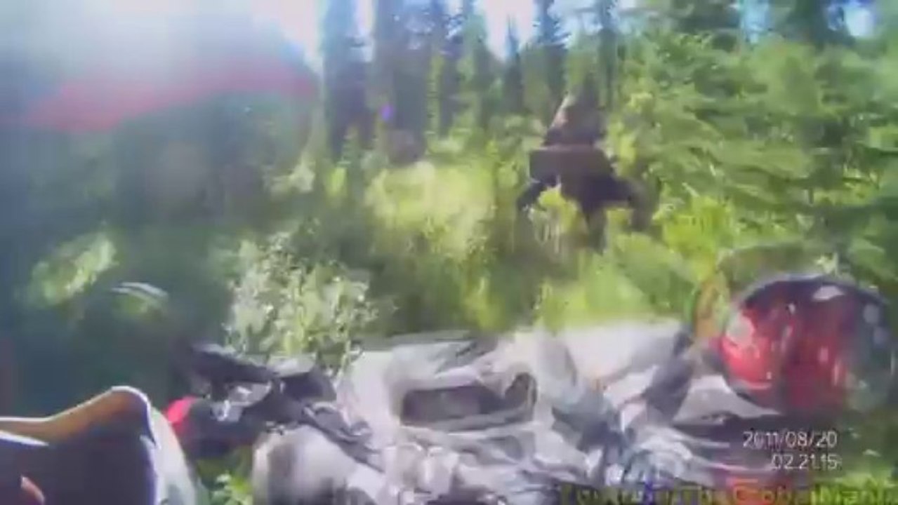 Extreme Quad Bike Offroading In The Forrest