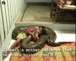 Weird friendship : Kid Rides Giant Python