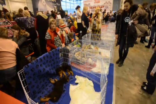 Rusların akınına uğradı