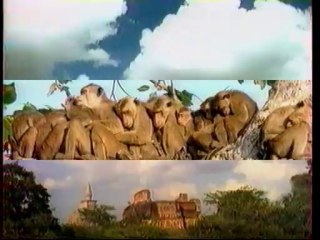 France 3 23 Avril 2000 1 B.A., Fermeture d'antenne