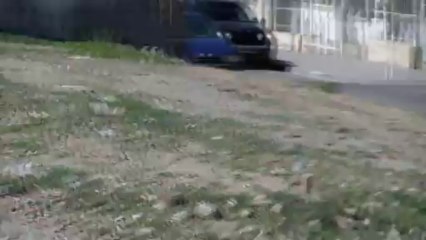 petardo polvora negra