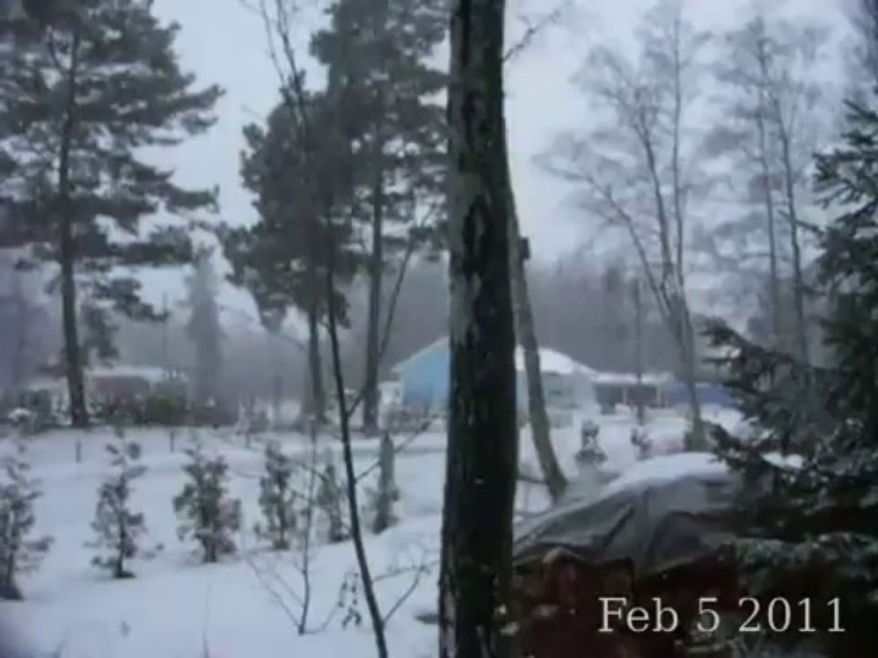 2011-02-05
