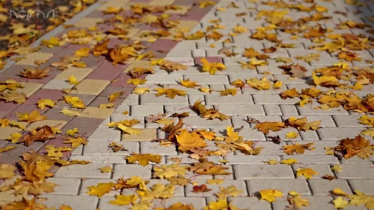 Свадебный Клип - Дмитрий и Ольга ВИДЕОСЪЕМКА ХАРЬКОВ. ДНЕПРОПЕТРОВСК, КРЫМ