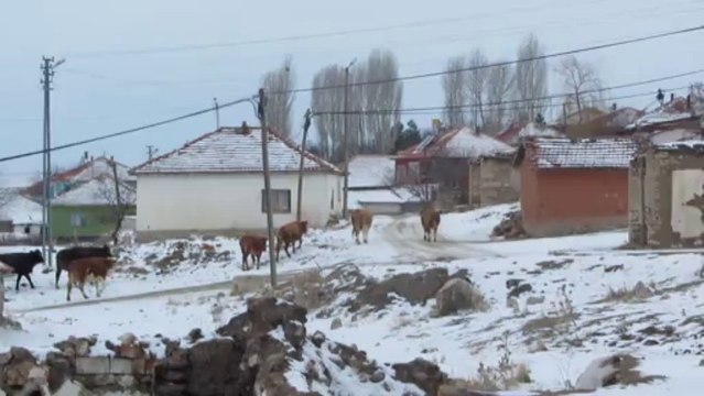 CAFERLİ KÖYÜ (2) 15.12.2013