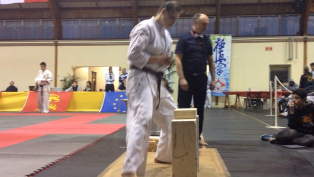 Open international de Kyokushin