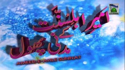 Maulana Ilyas Qadri Kay Madani Phool Ep 33 - Questions Answers