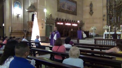 3º DOMINGO DO ADVENTO. ANOA Homilia