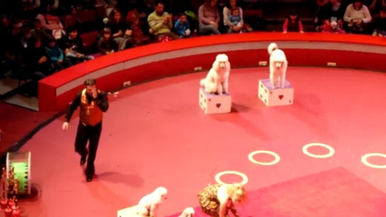 Circo de Natal - Coliseu dos Recreios Lisboa