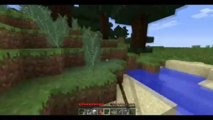 Objectif Champi - épisode 1 - Le début d'une grande aventure !!!