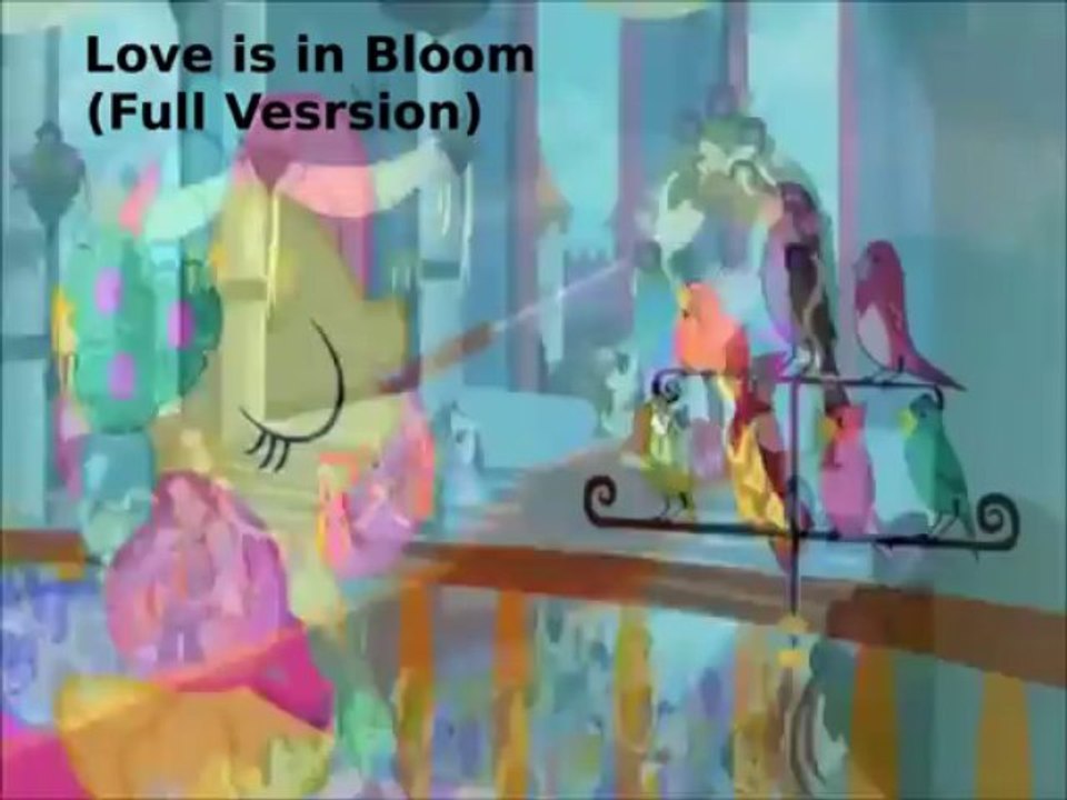 Love is in Bloom