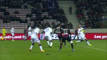 OGC Nice - FC Sochaux-Montbéliard (1-0) - 14/12/13 - (OGCN - FCSM) - Résumé