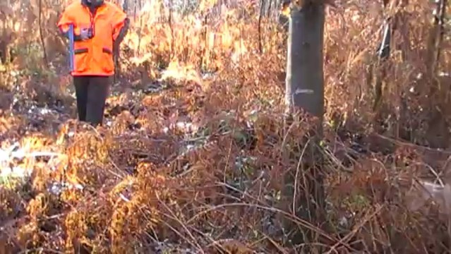 Moutiers 14-12-13 arrêt Easy patron Ialta Louis tue la bécasse