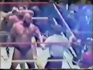 Randy Savage vs. Bad News Brown