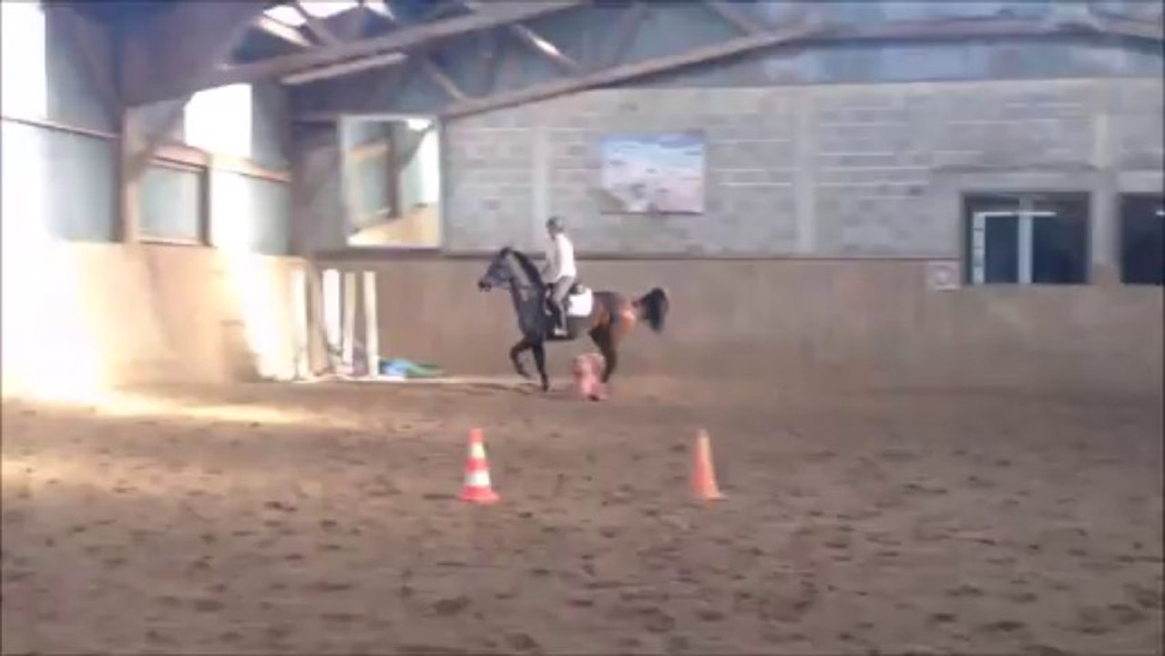 galop à gauche 141213