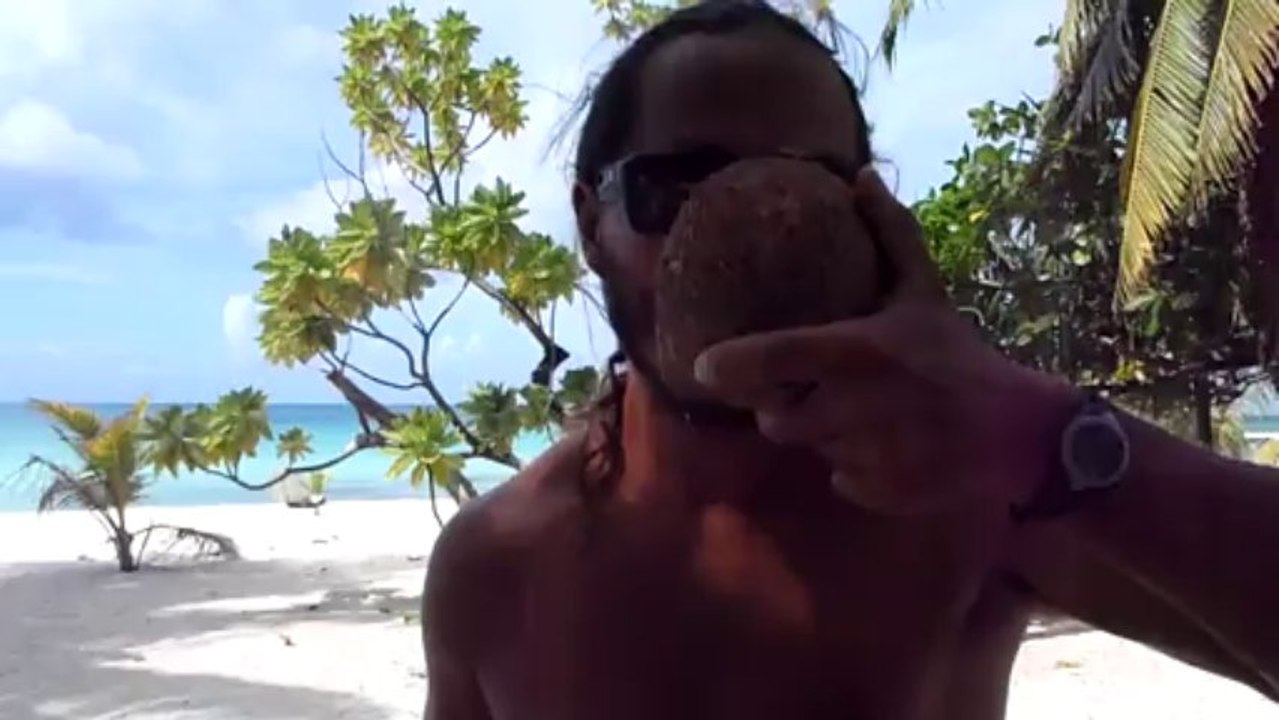 Le professionnel des noix de coco