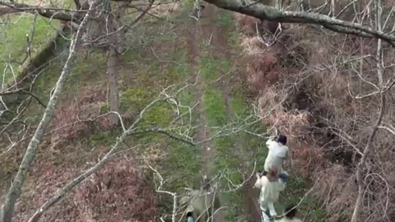 The Chase