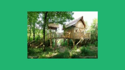 permaculture