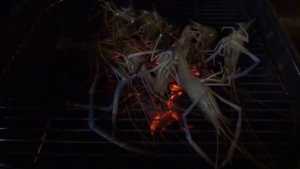 les crevettes grillées