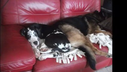 premiers pas dans la neige