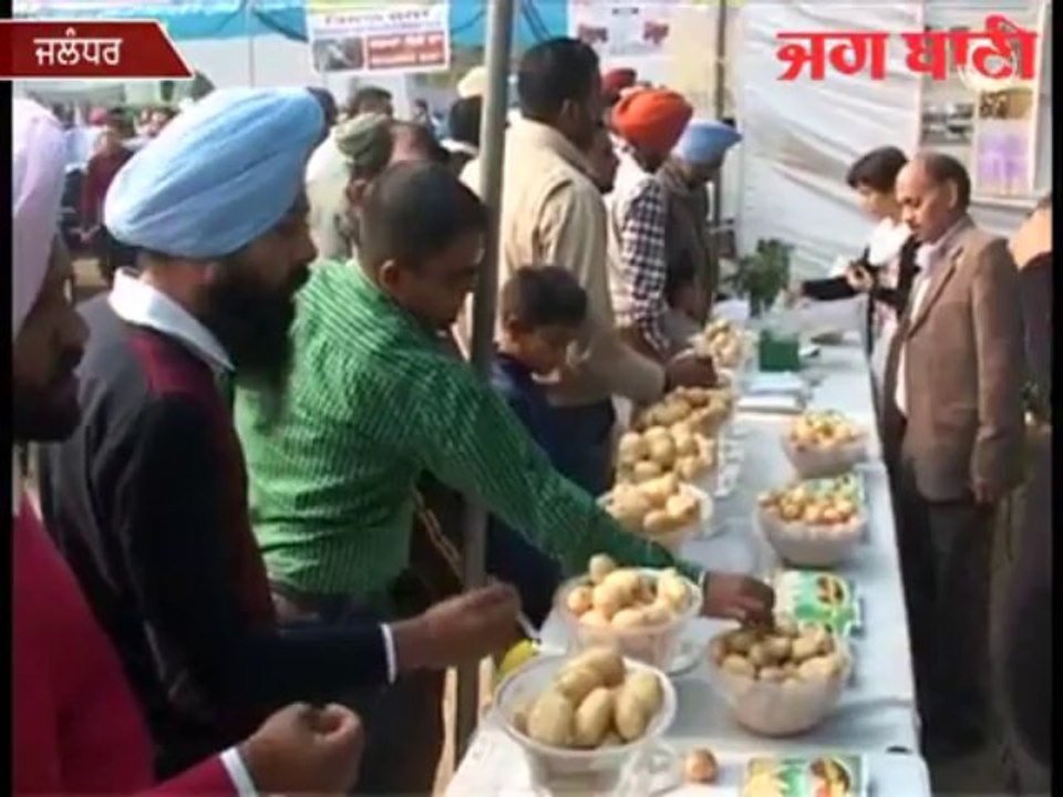 ਹਵਾ 'ਚ ਤਿਆਰ ਹੋਣਗੇ ਆਲੂਆਂ ਦੇ ਬੀਜ