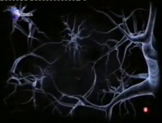 Buscador de sensaciones: Muerte por electroshock