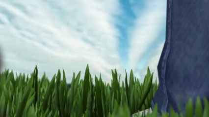 Dream To Fly - After Effects Template