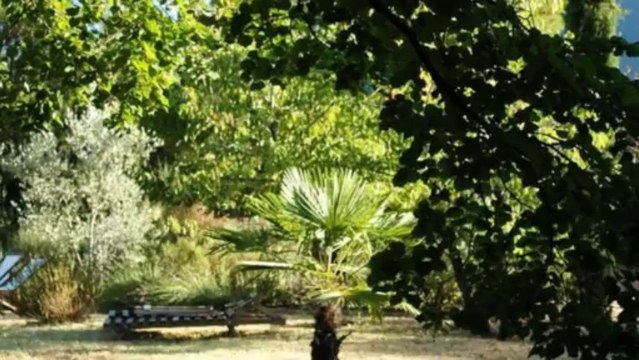 Maison à vendre à Nyons dans La Drome Provençale pour exploitations gîtes