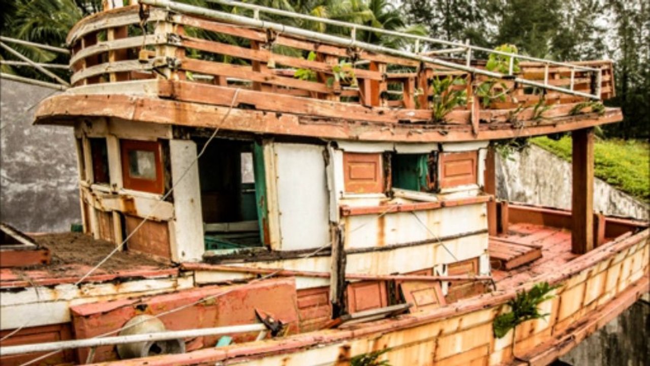 Cenk taner-Silah sesinden yunuslar
