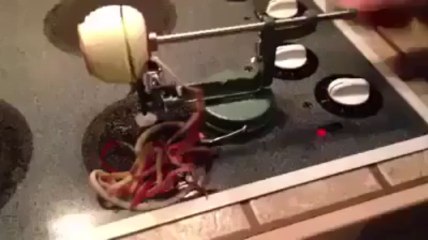 Amazing Apple Cutter | www.itblow.com