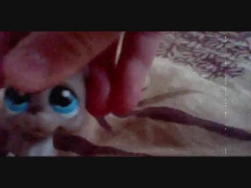 clip petshop