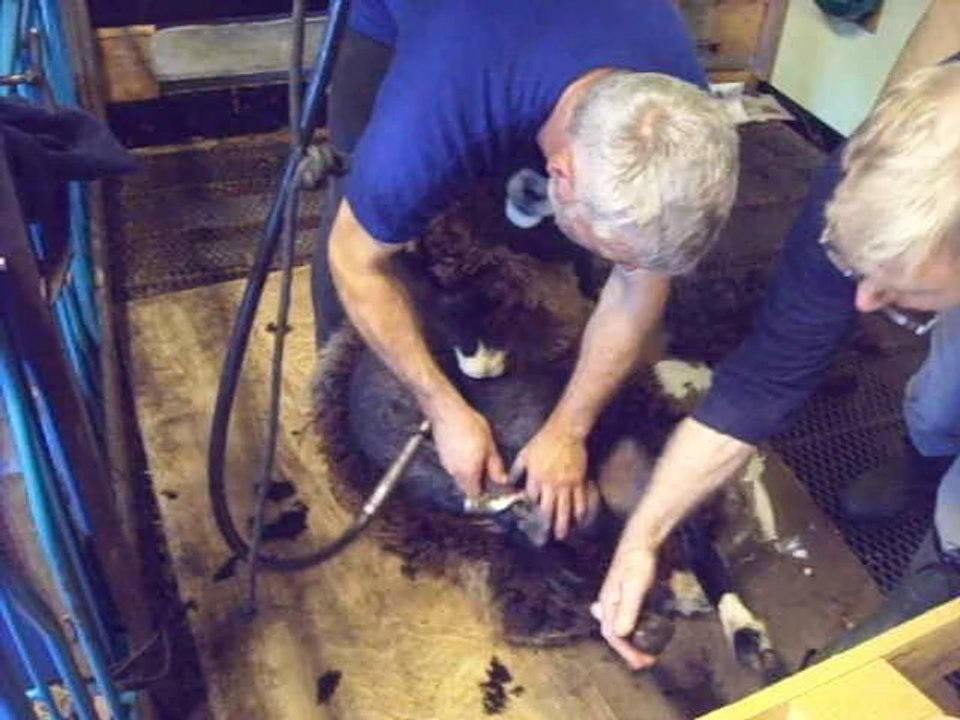 Schnipp, schnapp, Haare ab 28.03.10