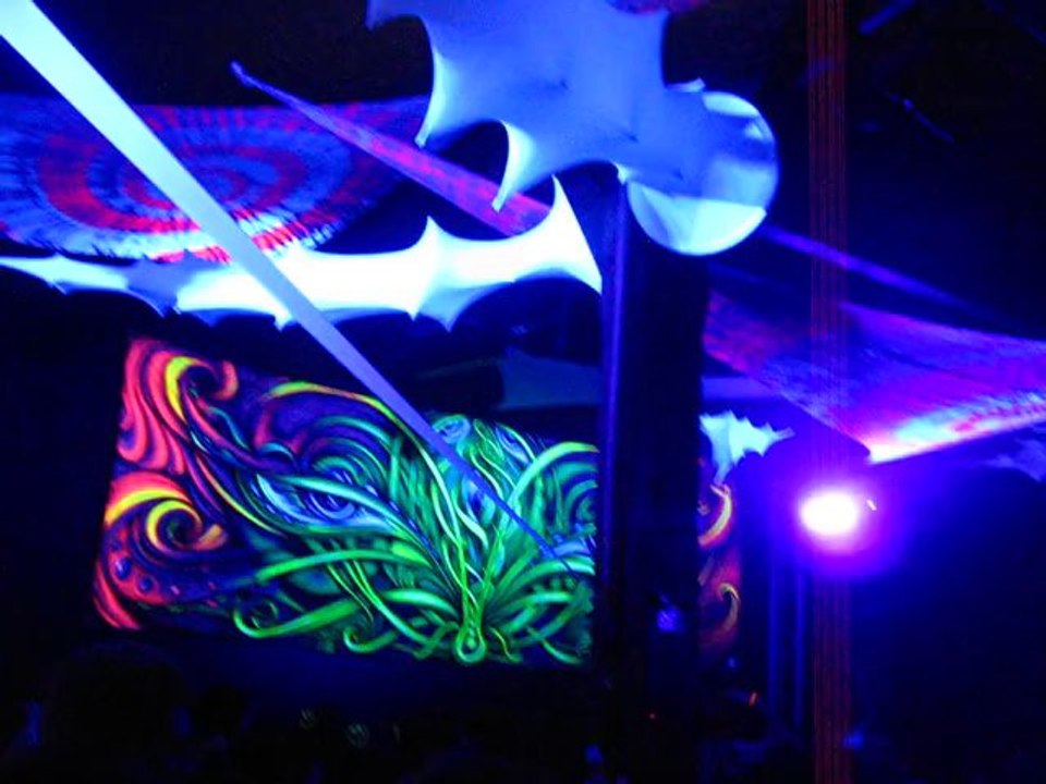 07/12/2013 Human Karma 2 déco Organik Garden par neurotype record au Pub ADK