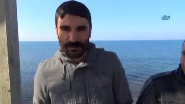 Aydın'da yeni bir Akdeniz foku bulundu