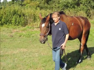 17/12/13 Chronique d'une grave blessure , l'inconsciense et l'irresponsabilité d'autrui à failli couter la vie d' Impériale !!! Impardonnable !!!